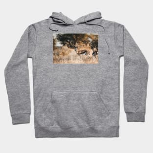 South African Springbok Hoodie